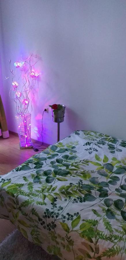 Aphrodite Rose Sunny Beach Ngoại thất bức ảnh